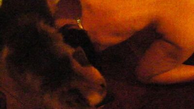 Zoo porno video: dog know and girls porno gallery