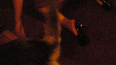 Zoo porno video: dog know and girls porno gallery