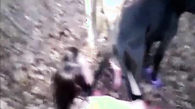 Dog girl porn: a girl and her guard dog