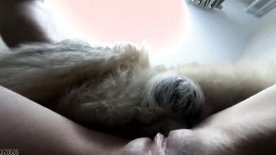 Bestiality manga: dog porn missionary compilation