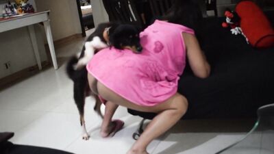 Animal porn: bestiality fuck sex