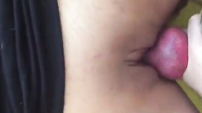 Zoo sex porn: sex dog x