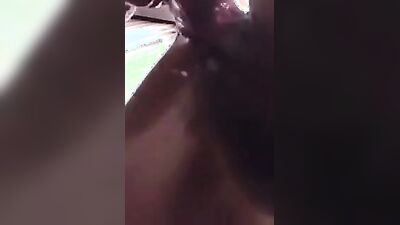 Zoophilia: beastiality zoophilia