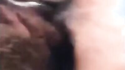 Zoo porn girls: mimi dog rule 34 porn