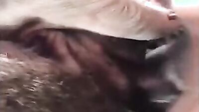 Zoo porn girls: mimi dog rule 34 porn