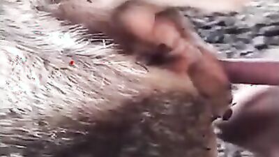 Zoo porn girls: mimi dog rule 34 porn