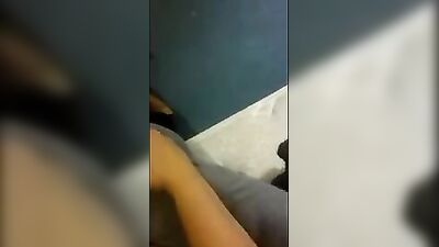 Zoo horse porn: horse anal zoo porn