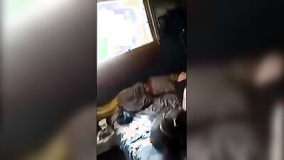 Zoo horse porn: horse anal zoo porn
