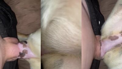 Mimi dog girl: milf dog porn