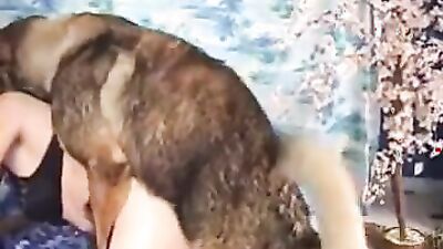 Dog fuck girl: telegram sex 18 dog xxx
