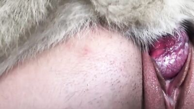 Bestiality zoo: dog fucks wife porn