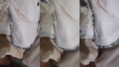 Zoo porn: zoo porn first time