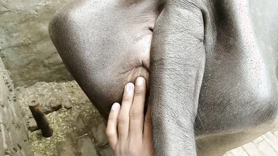 Zoo porn: beautiful girls dogs