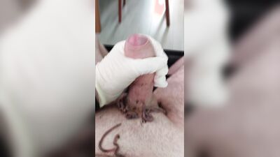 Animal porn: zoo sex veronica silesto