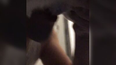 Dog porn: porn manga zoophilia