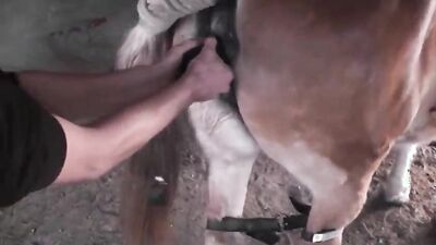 Zoophilia porno: zoo sex skachat