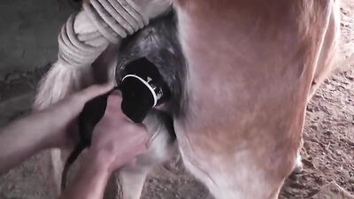 Zoophilia porno: zoo sex skachat