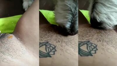Zoo porn man: zoey brooks zoo porn