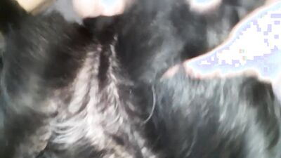 Zoo sex porn: 2 dog porn girl