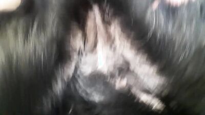 Zoo sex porn: 2 dog porn girl