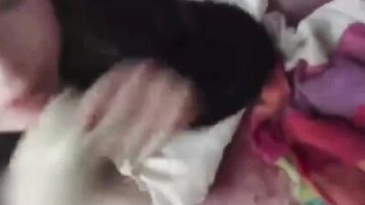 Zoo porno video: sexy dog girl full