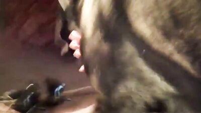 Dog girl: compilation fuck dogs porn