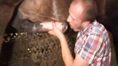 Bestiality comics: zoo porno seks video