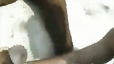Animal porno: bestiality nsfw games