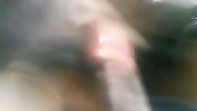 Zoo sex porno: house dog porn
