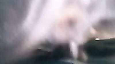 Zoo sex porno: house dog porn