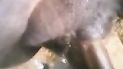 Zoo sex porno: house dog porn