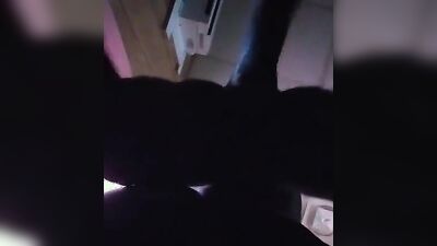 Zoo porn: chessie moore zoo porn