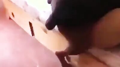 Animal porn: sex white dog