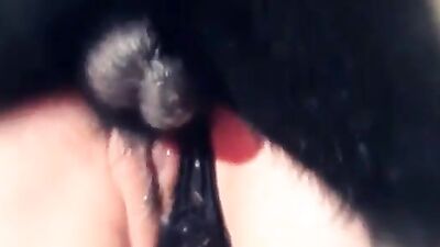 Zoo sex porn: bbw bestiality