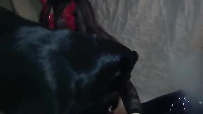 Dog porn: forest porno bestiality