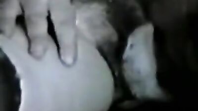 Bestiality video: generated dog girl porno
