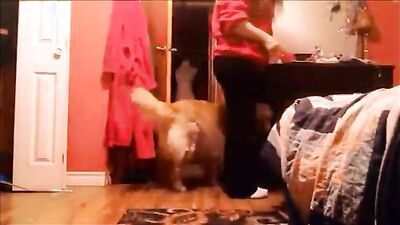 Girl having dog: zoo sex man gay