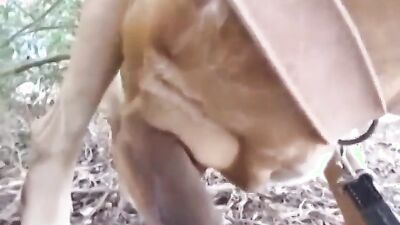 Porn bestiality: bestiality dick