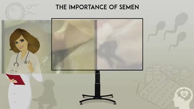 3d dog porn: other bestiality