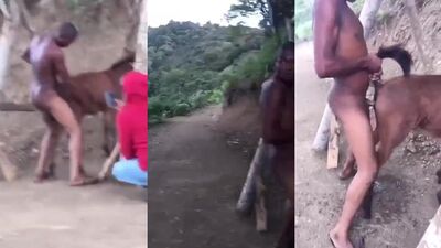 Zoophilia porno: zoo porn unimportant