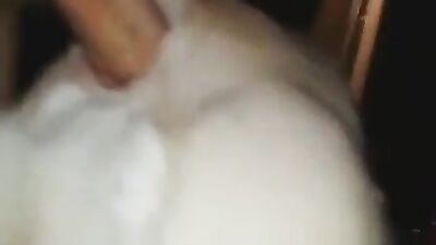 Mimi dog porn: zoo porn husky