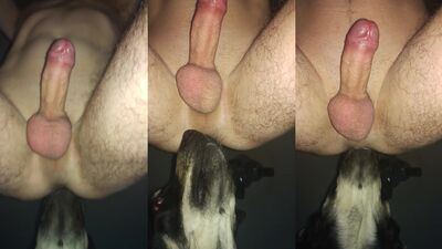Dog girl porn: tick zoo video