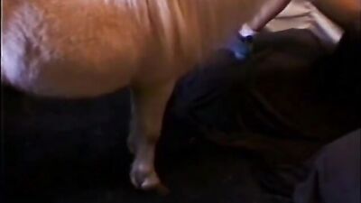 Gay zoo porn: sonya zoo porn laxure tv see