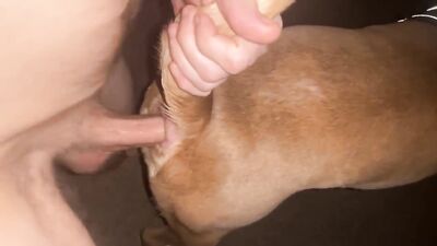 Dog get girl: fucking zoophilia