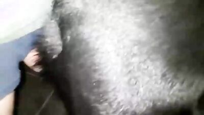 Animal porno: creamy spot dog mask porn
