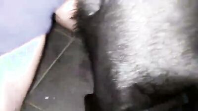 Animal porno: creamy spot dog mask porn