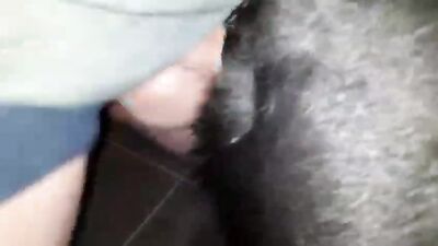 Animal porno: creamy spot dog mask porn