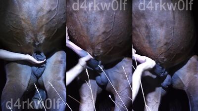 3d dog porn: young girls dog porn