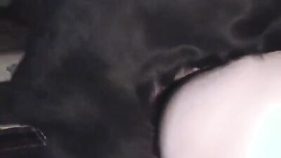 Art of zoo porn: hentai bestiality 34