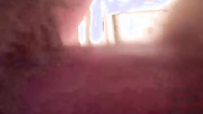 Zoo dog porn: knottyheaveh proton me zoo porn 2026